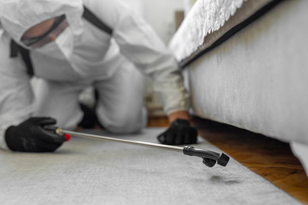 Professional Termite Control technician working in Brass Castle, NJ