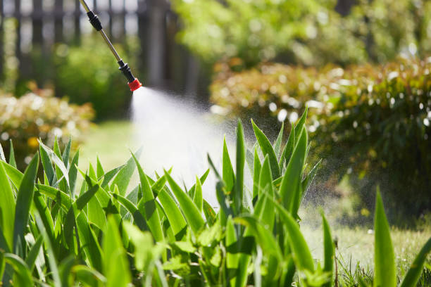 24/7 Emergency Termite Control experts in Brass Castle, NJ